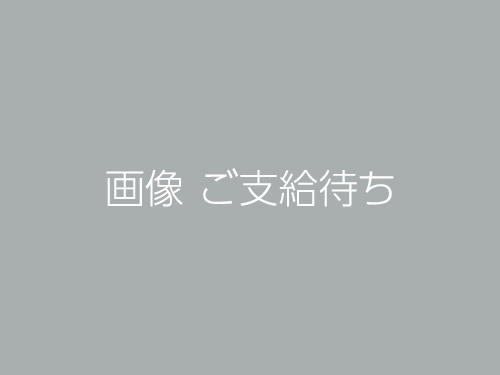 mizukakematsuri